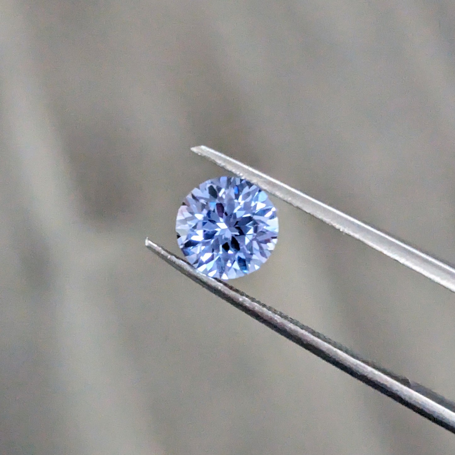 Rondas azules árticas