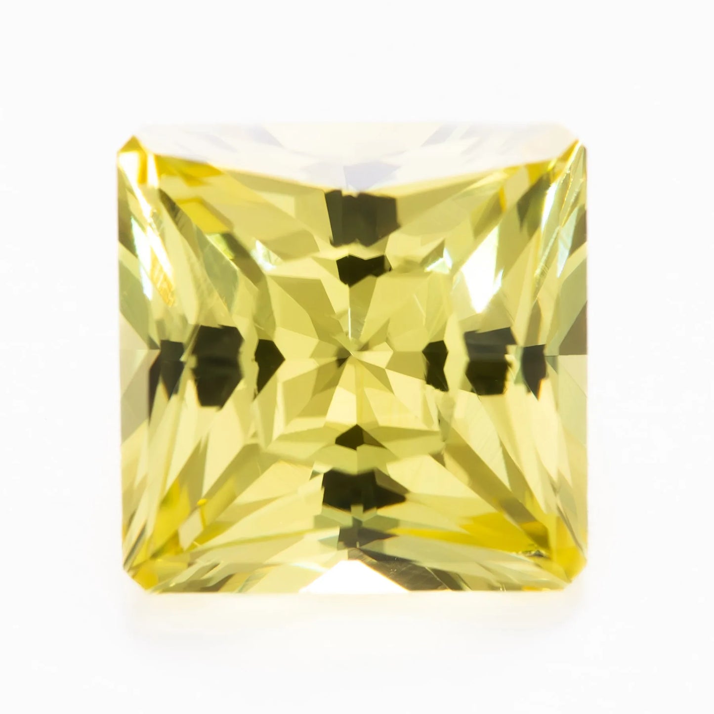yellow lab sapphire princess
