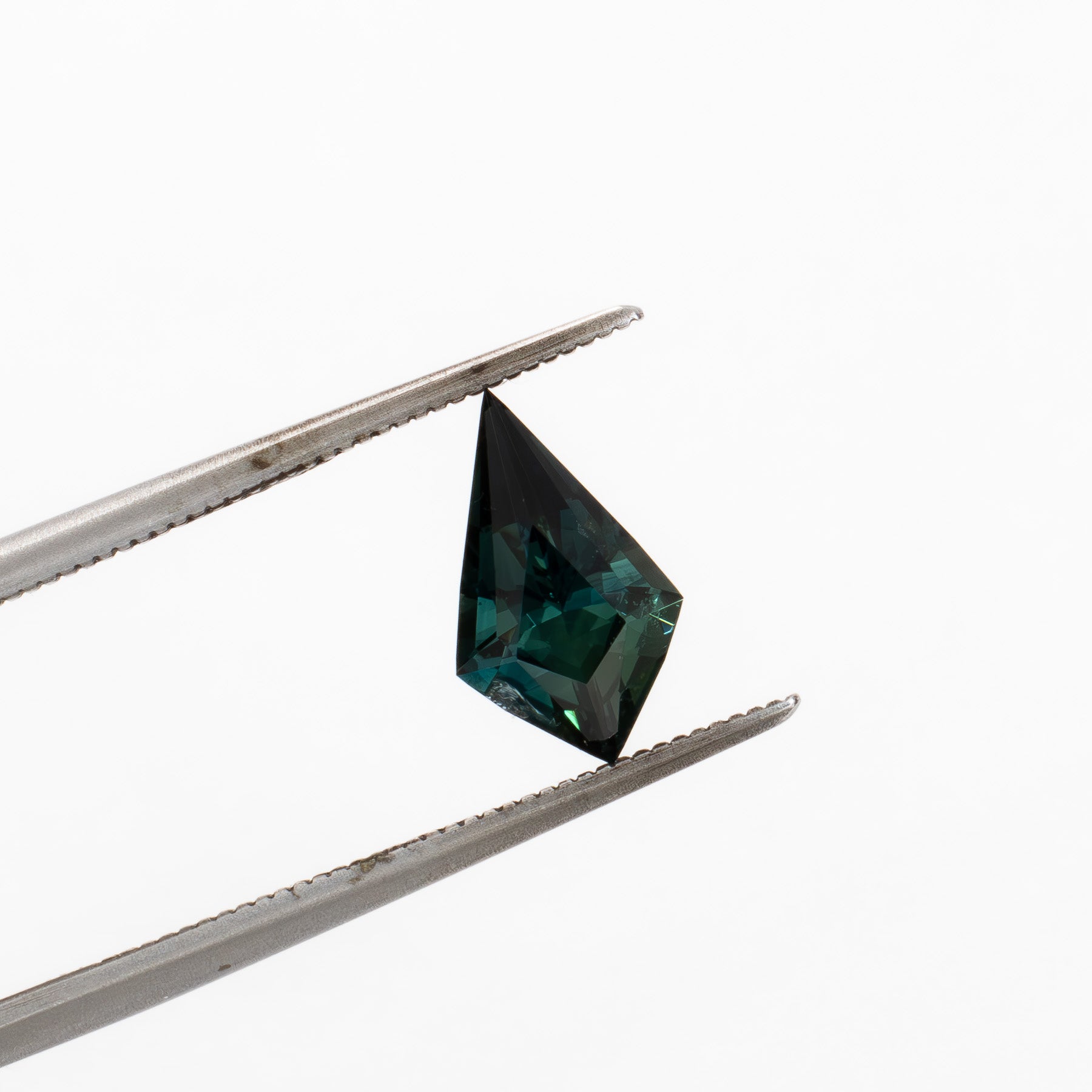 AF0110 grey-blue kite african sapphire