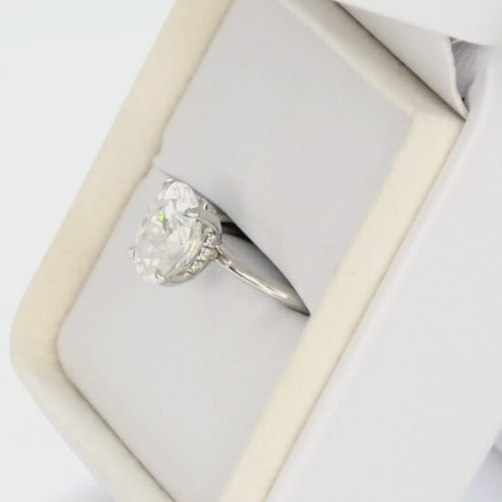 hidden halo lana ring with oval moissanite